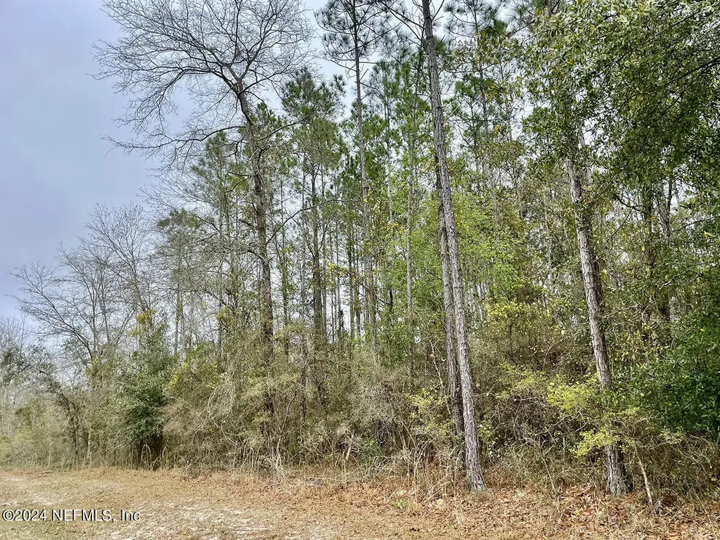 15436 Bullock Bluff Road Bryceville FL 32009