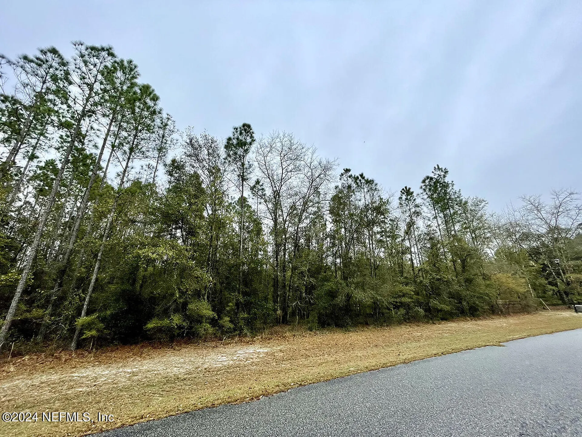 15436 Bullock Bluff Road Bryceville FL 32009