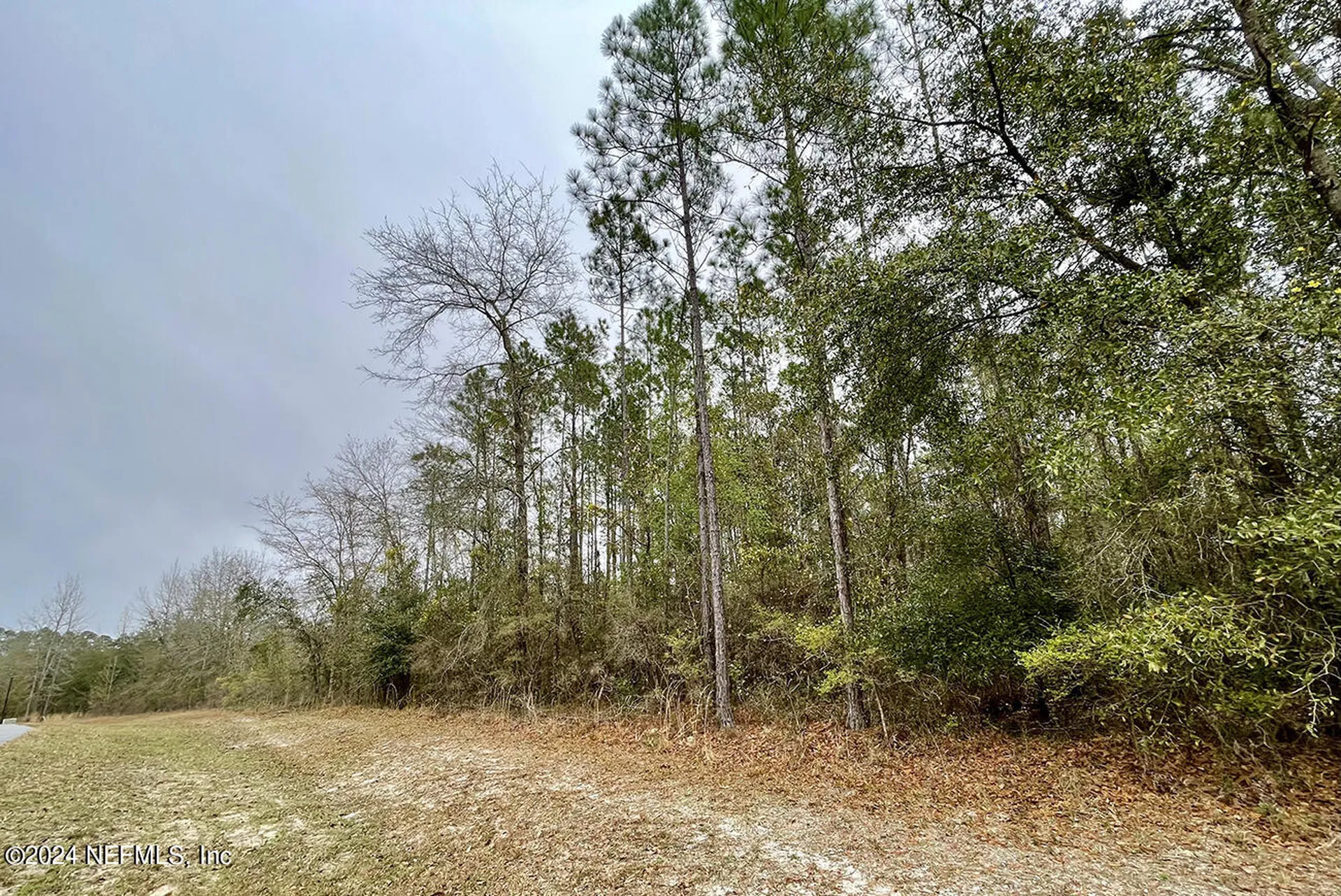 15436 Bullock Bluff Road Bryceville FL 32009