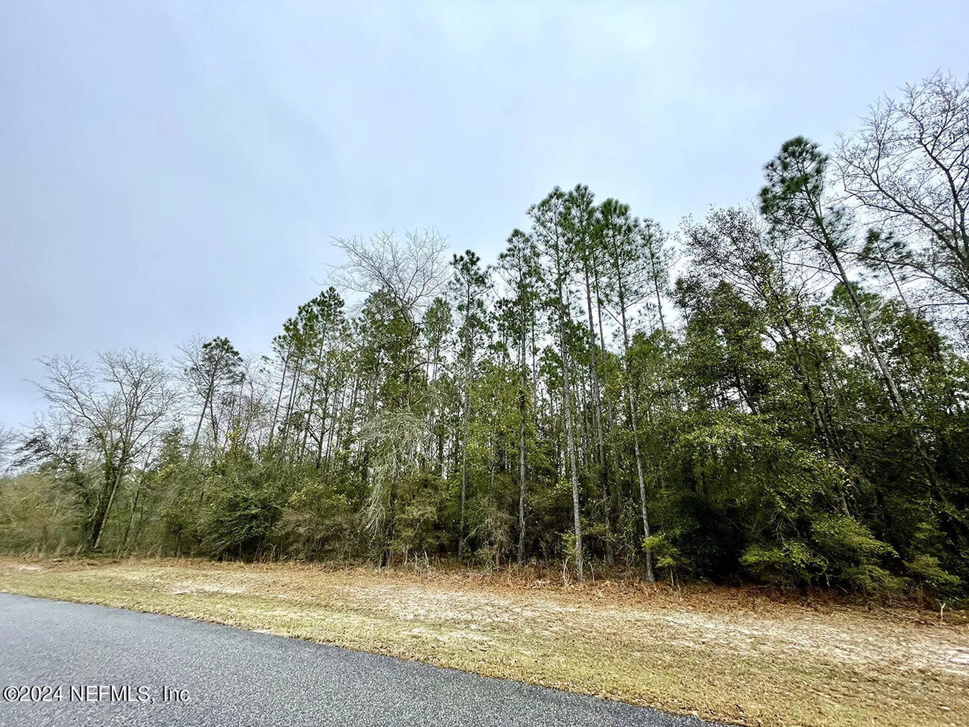 15436 Bullock Bluff Road Bryceville FL 32009