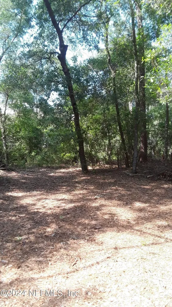 5455 Joshua Street Keystone Heights FL 32656