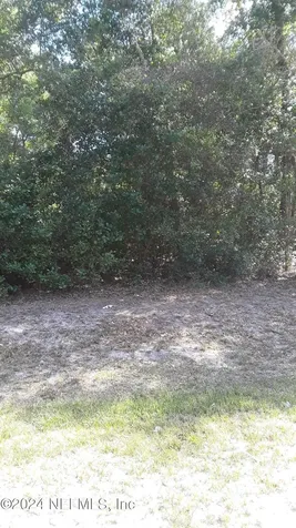 5455 Joshua Street Keystone Heights FL 32656