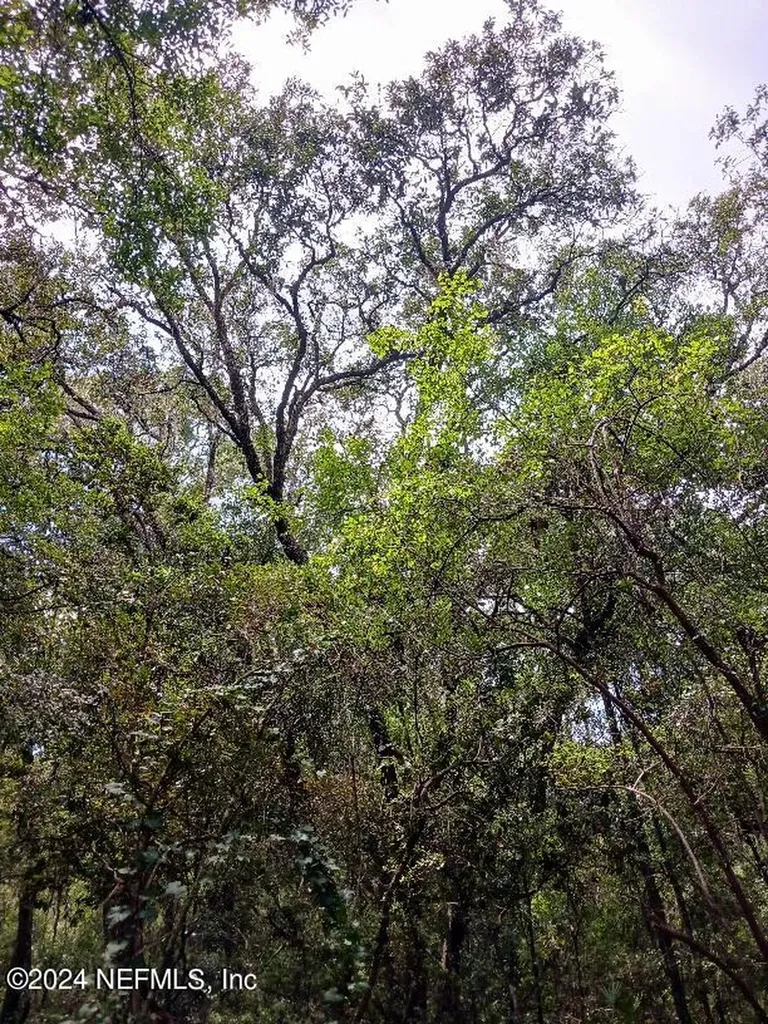 5210 Co Road 214 Keystone Heights FL 32656