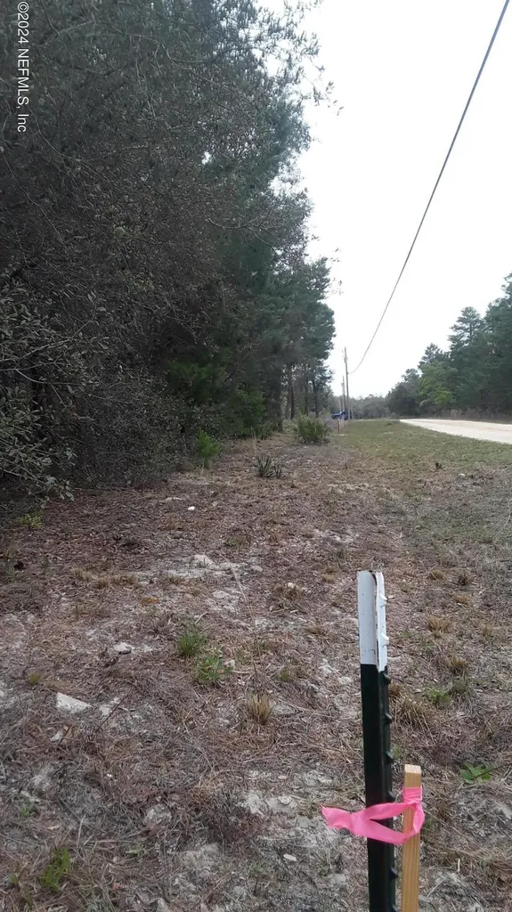 5210 Co Road 214 Keystone Heights FL 32656