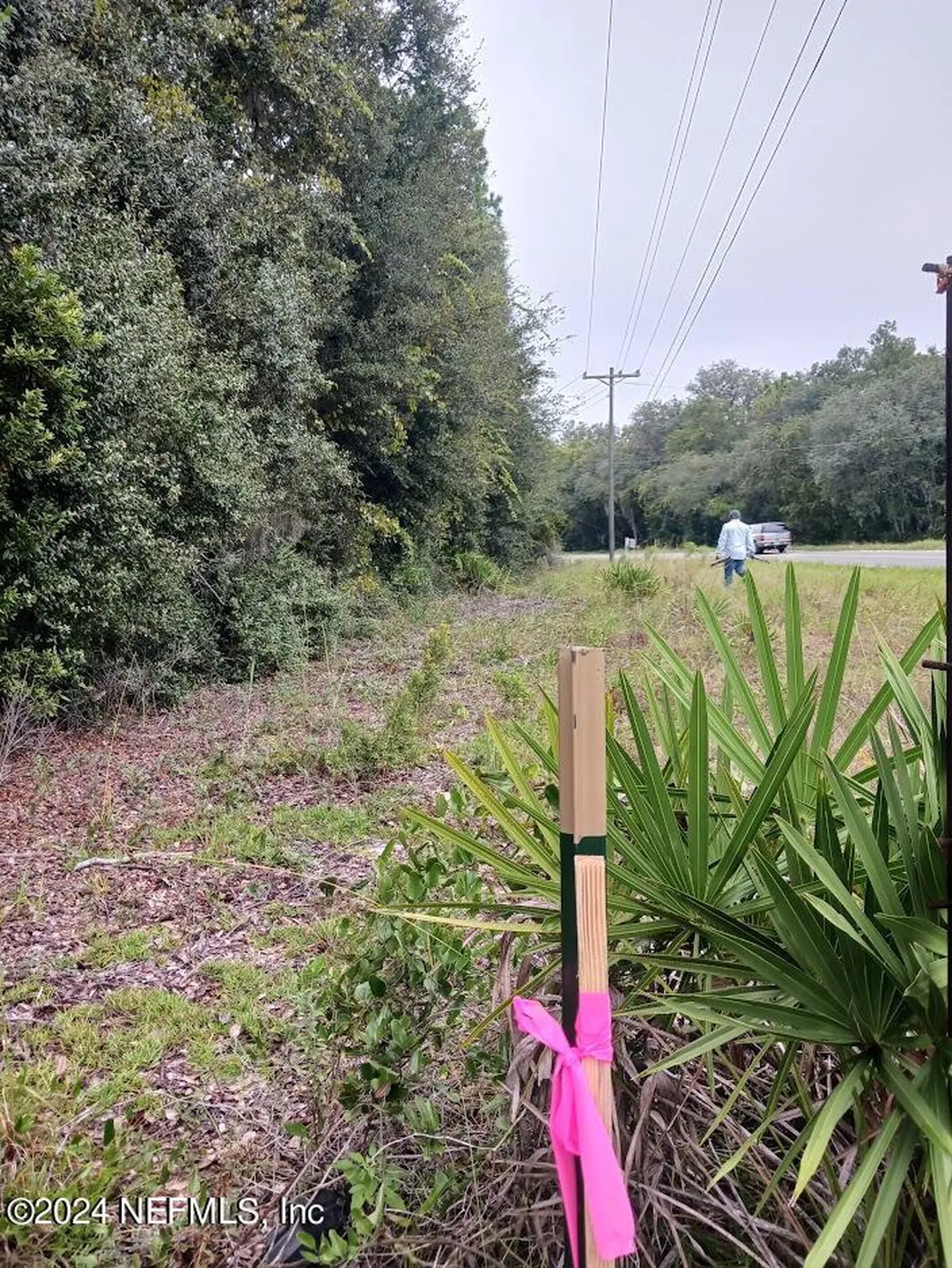 5210 Co Road 214 Keystone Heights FL 32656