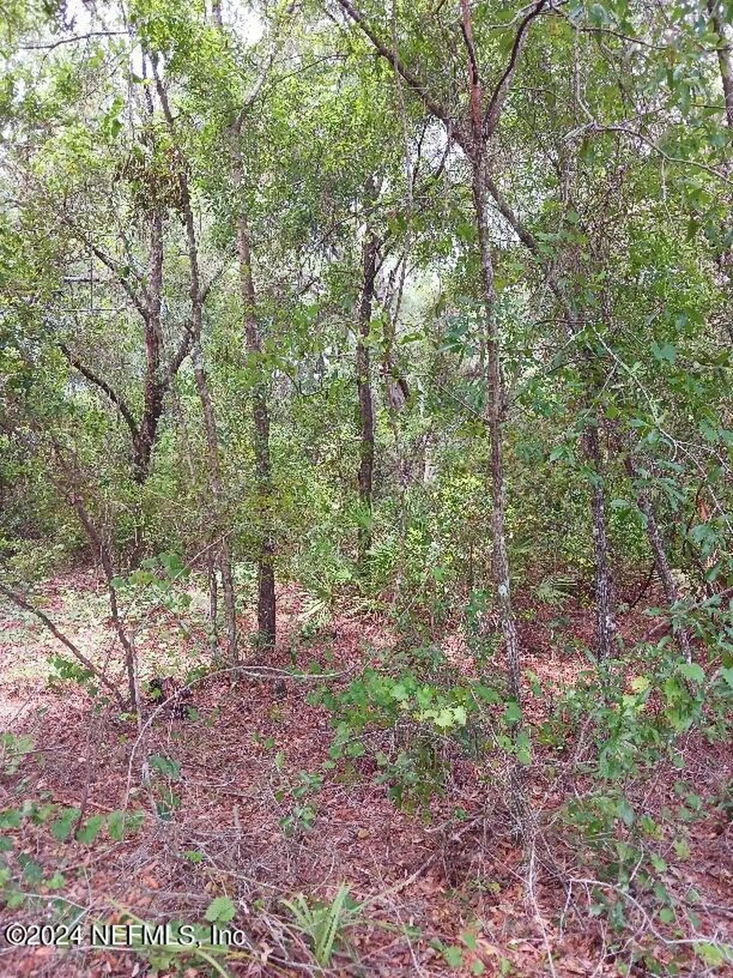 5210 Co Road 214 Keystone Heights FL 32656