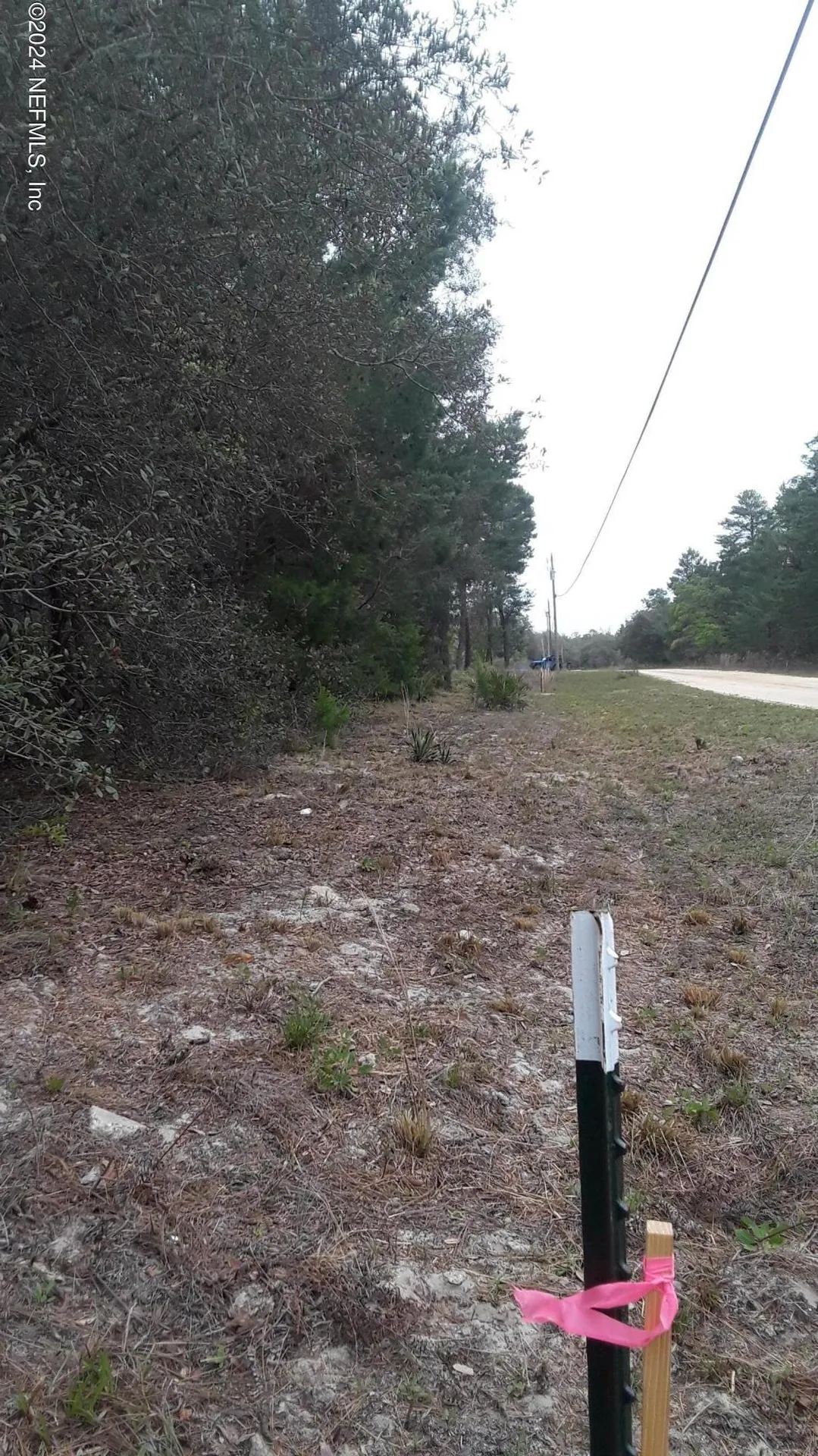 5210 Co Road 214 Keystone Heights FL 32656