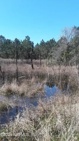 5210 Co Road 214 Keystone Heights FL 32656