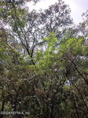 5210 Co Road 214 Keystone Heights FL 32656