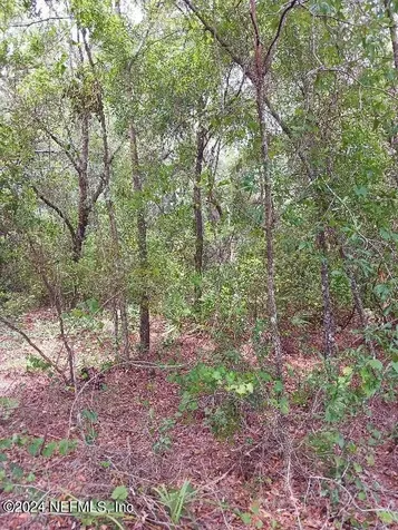 5210 Co Road 214 Keystone Heights FL 32656