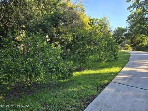 420 Henry Court Green Cove Springs FL 32043