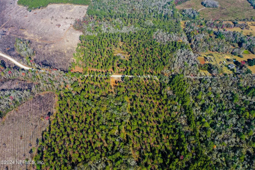 Lot 10 NW Josephine Street Lake City FL 32055