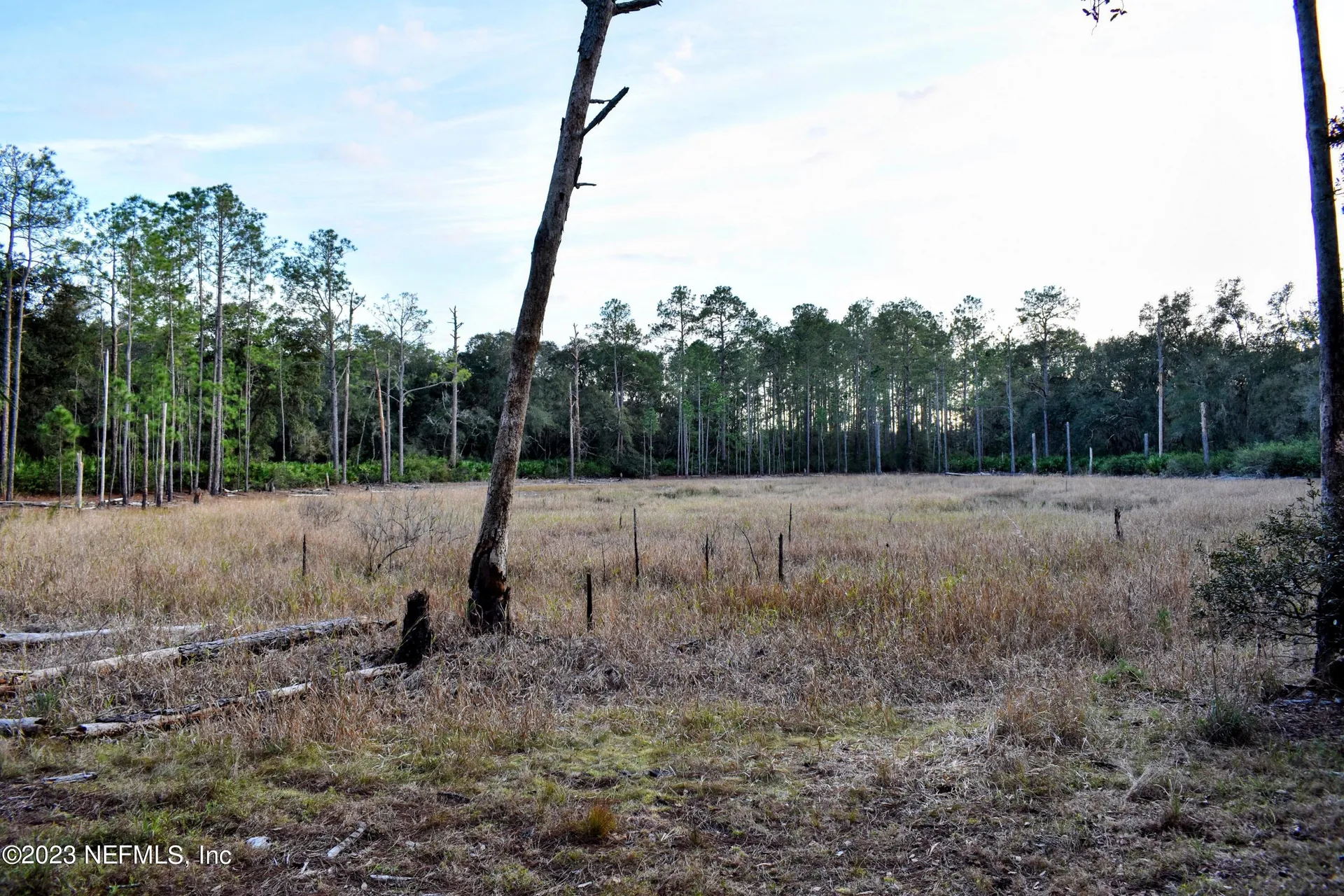 249 Simpson Drive Interlachen FL 32148