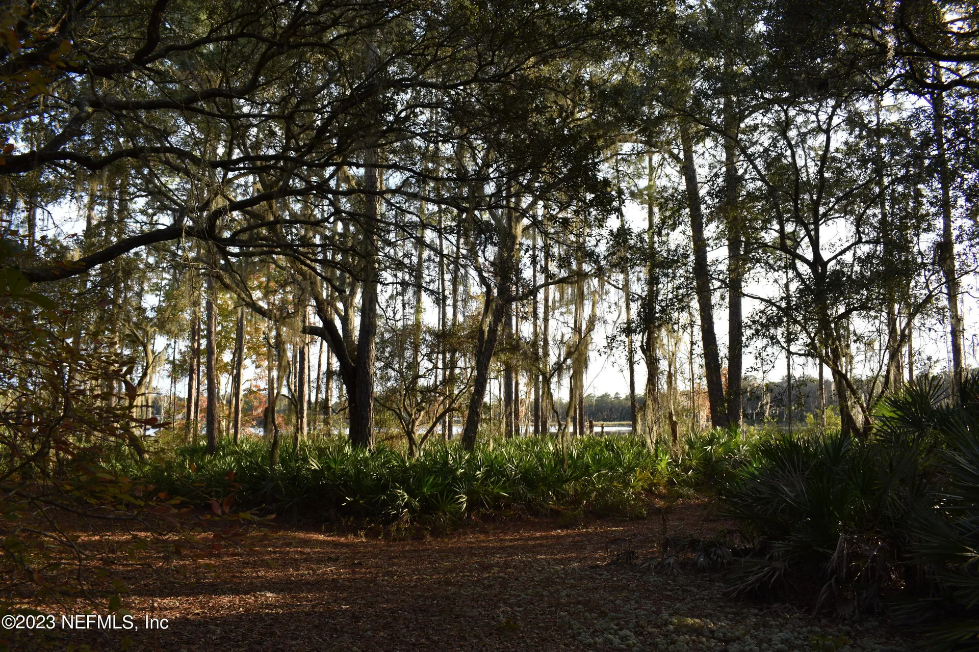 249 Simpson Drive Interlachen FL 32148