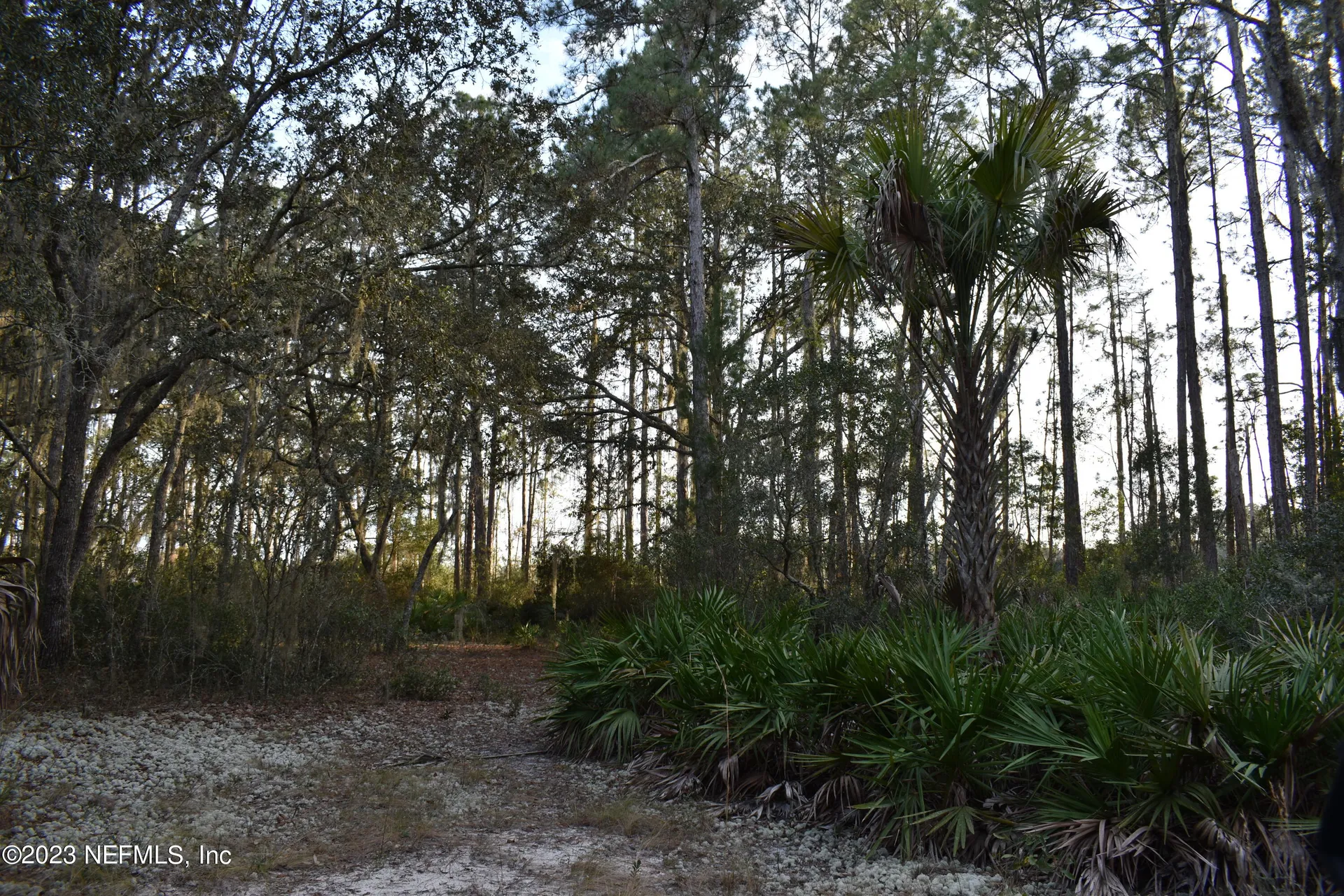 249 Simpson Drive Interlachen FL 32148