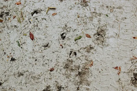 249 Simpson Drive Interlachen FL 32148