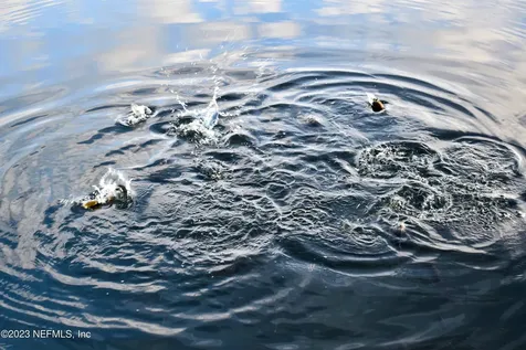 249 Simpson Drive Interlachen FL 32148