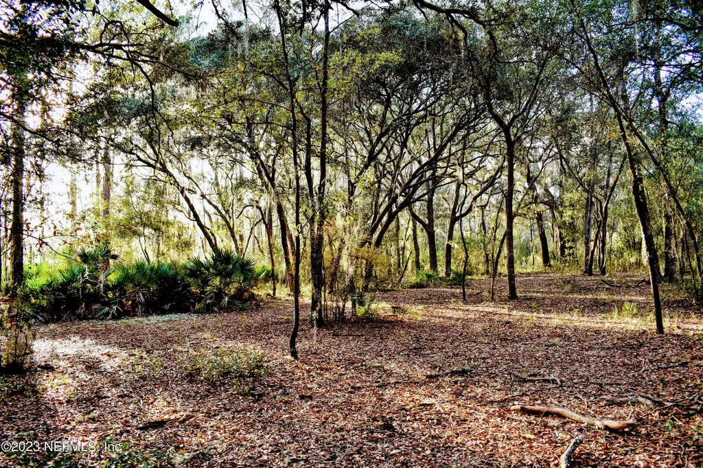 0 Simpson Drive Interlachen FL 32148