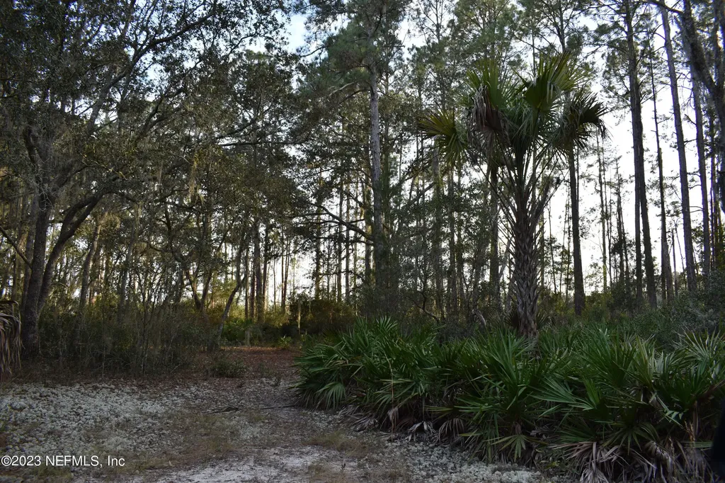 0 Simpson Drive Interlachen FL 32148