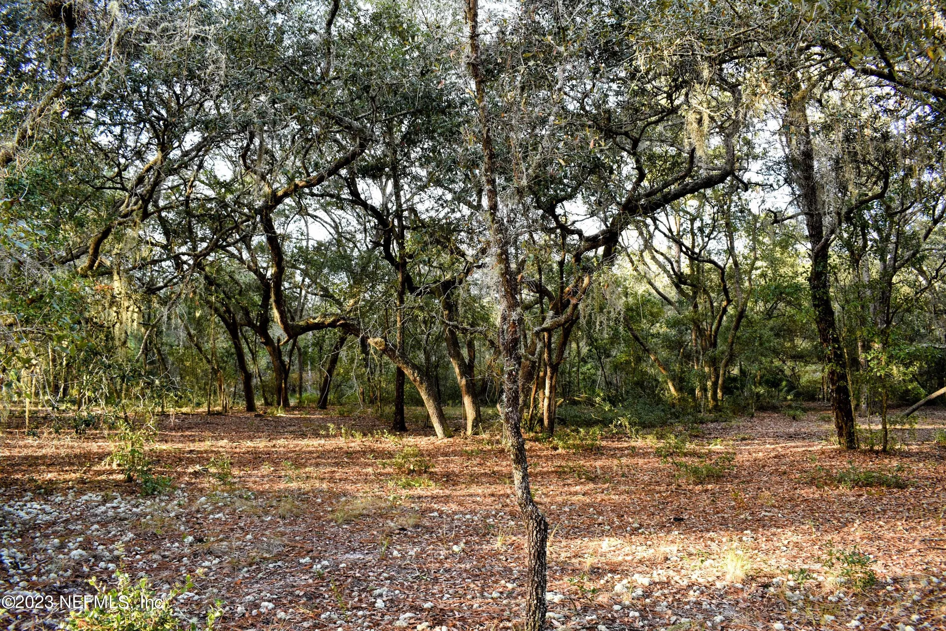 0 Simpson Drive Interlachen FL 32148
