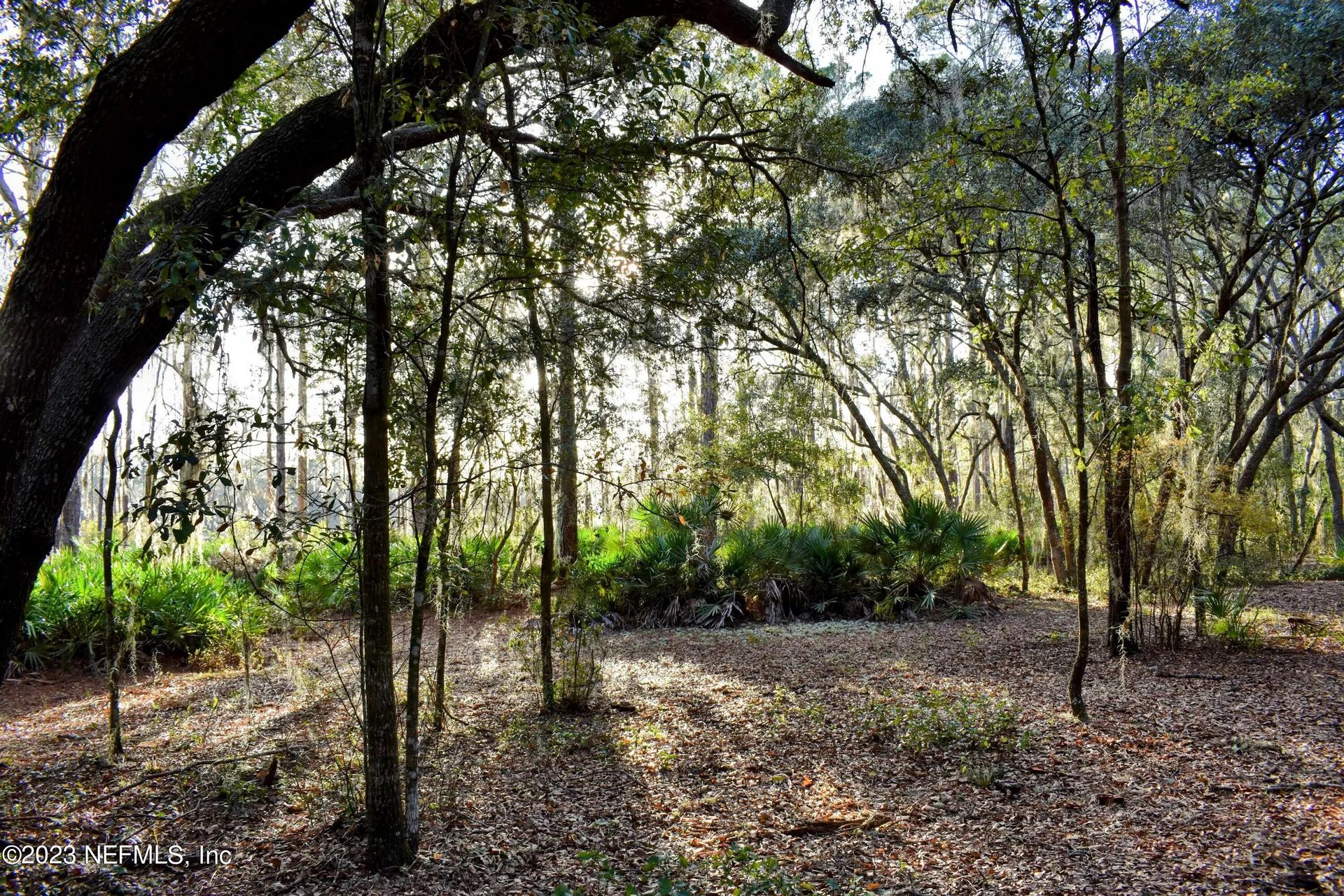0 Simpson Drive Interlachen FL 32148