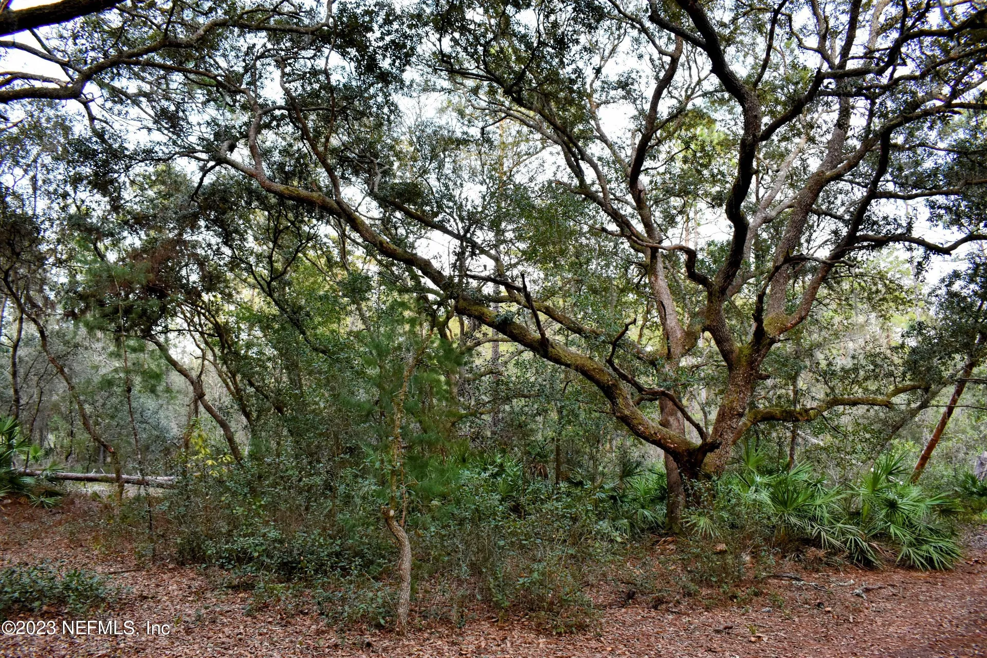 0 Simpson Drive Interlachen FL 32148