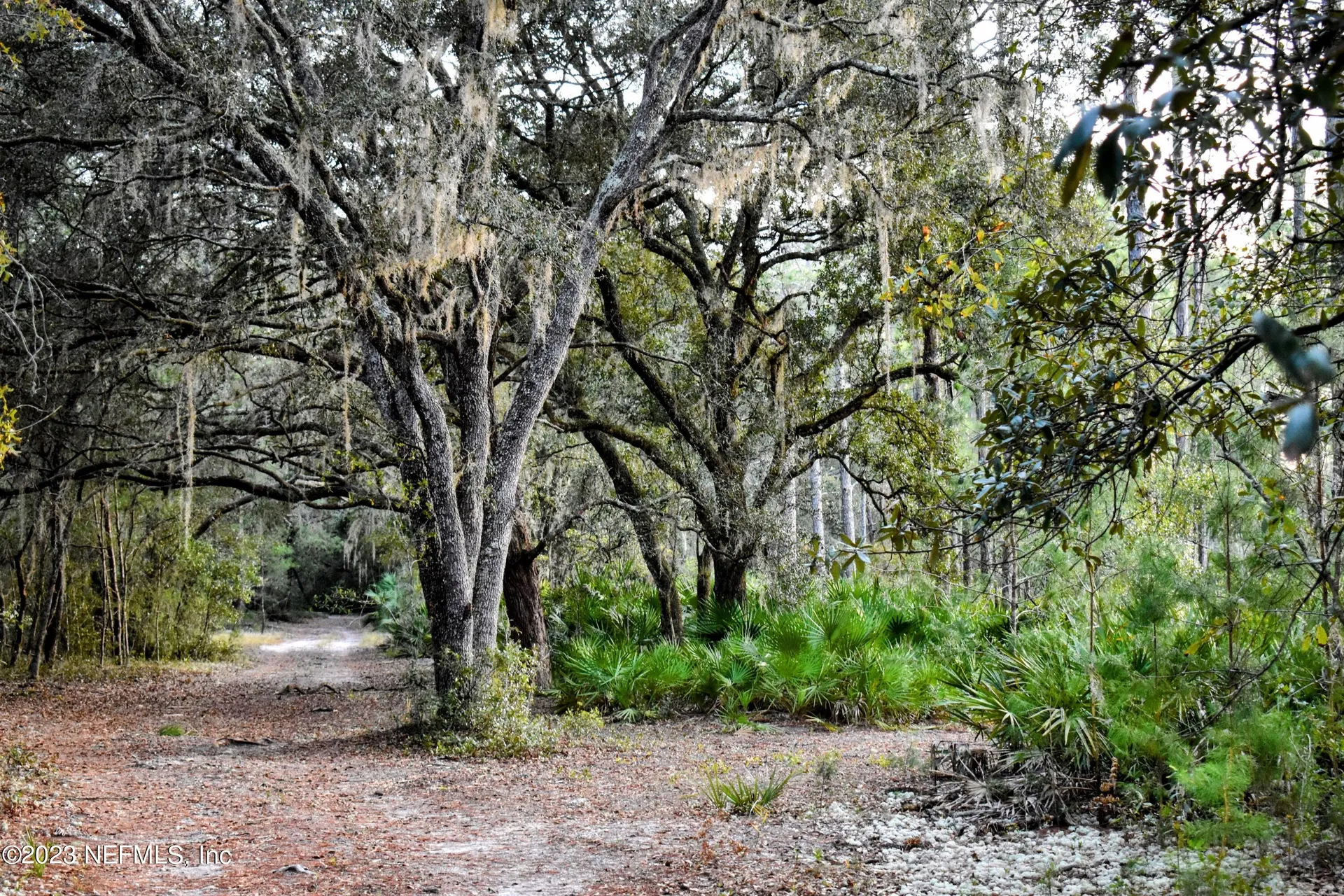 0 Simpson Drive Interlachen FL 32148