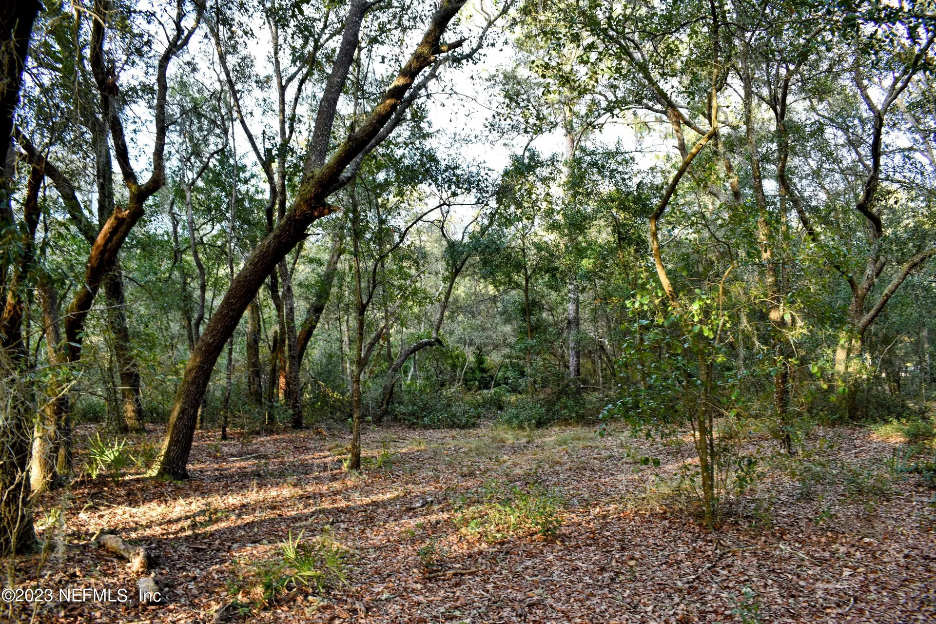 0 Simpson Drive Interlachen FL 32148