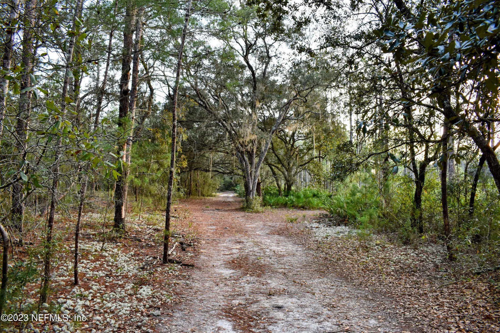 0 Simpson Drive Interlachen FL 32148