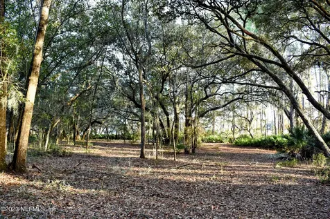 0 Simpson Drive Interlachen FL 32148