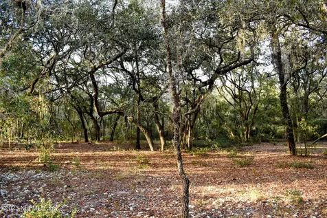 0 Simpson Drive Interlachen FL 32148