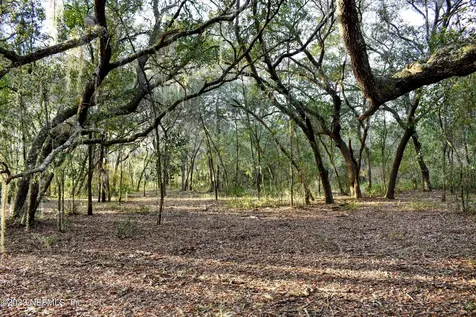 0 Simpson Drive Interlachen FL 32148