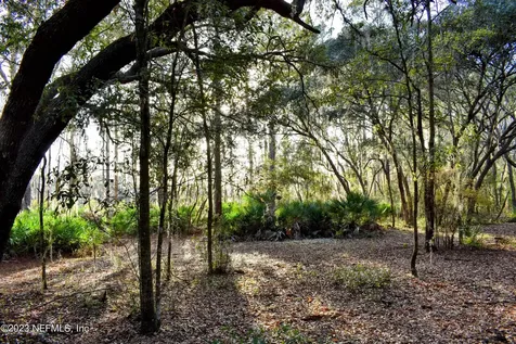 0 Simpson Drive Interlachen FL 32148
