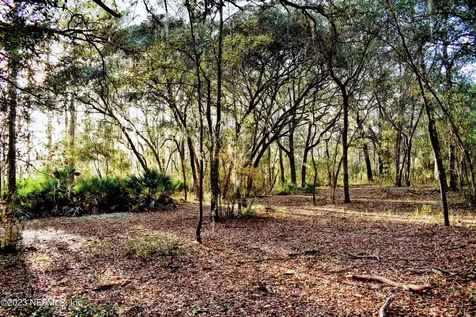 0 Simpson Drive Interlachen FL 32148