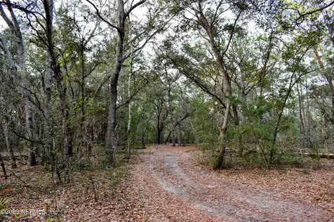 0 Simpson Drive Interlachen FL 32148