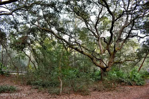 0 Simpson Drive Interlachen FL 32148