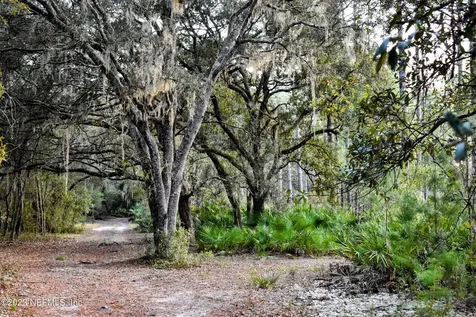 0 Simpson Drive Interlachen FL 32148