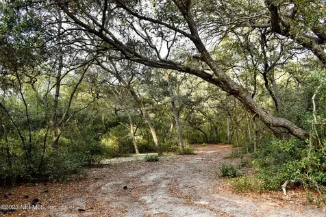 0 Simpson Drive Interlachen FL 32148