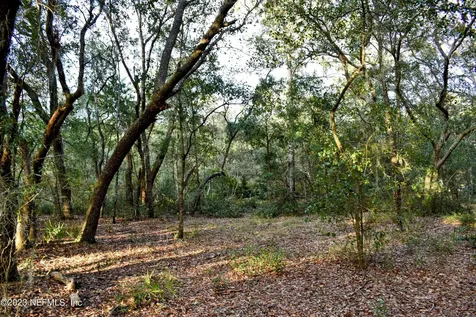 0 Simpson Drive Interlachen FL 32148
