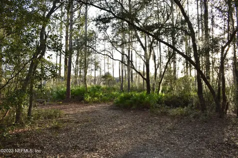 0 Simpson Drive Interlachen FL 32148