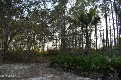 0 Simpson Drive Interlachen FL 32148