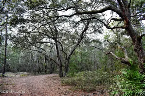 0 Simpson Drive Interlachen FL 32148