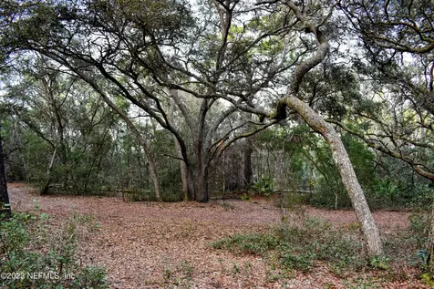 0 Simpson Drive Interlachen FL 32148