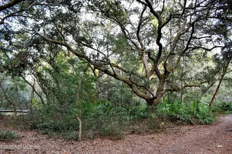 0 Simpson Drive Interlachen FL 32148