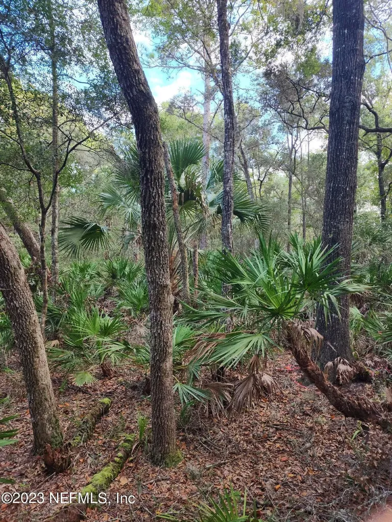 9897 NW 56th Place Chiefland FL 32626