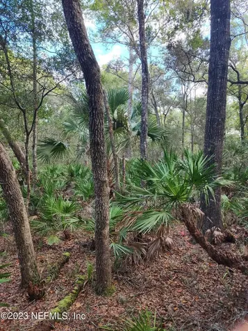 9897 NW 56th Place Chiefland FL 32626
