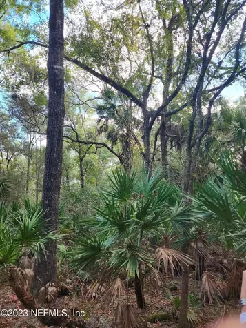 9897 NW 56th Place Chiefland FL 32626