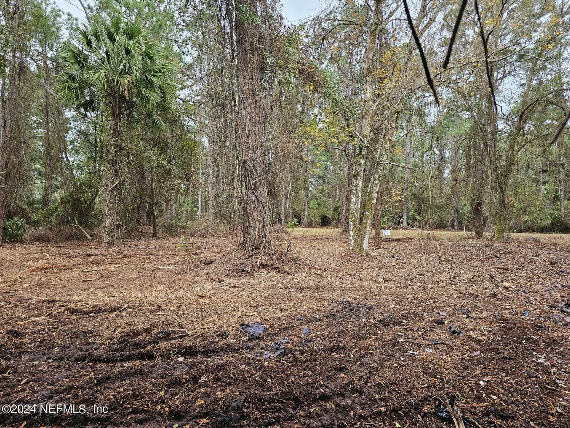 534 Palm Way Georgetown FL 32139
