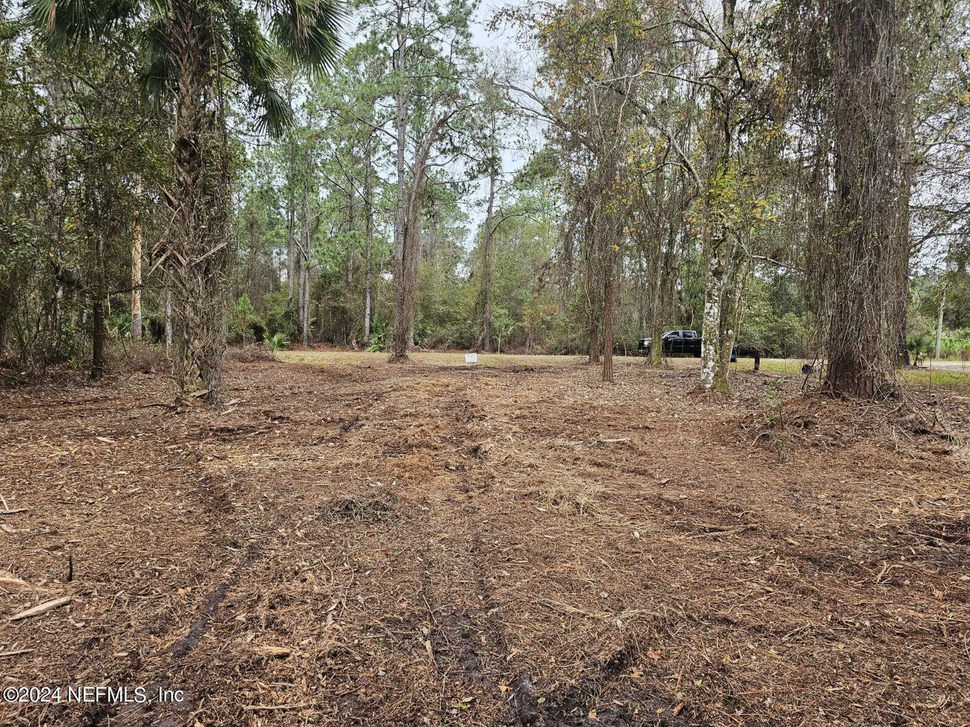 534 Palm Way Georgetown FL 32139