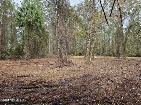 534 Palm Way Georgetown FL 32139